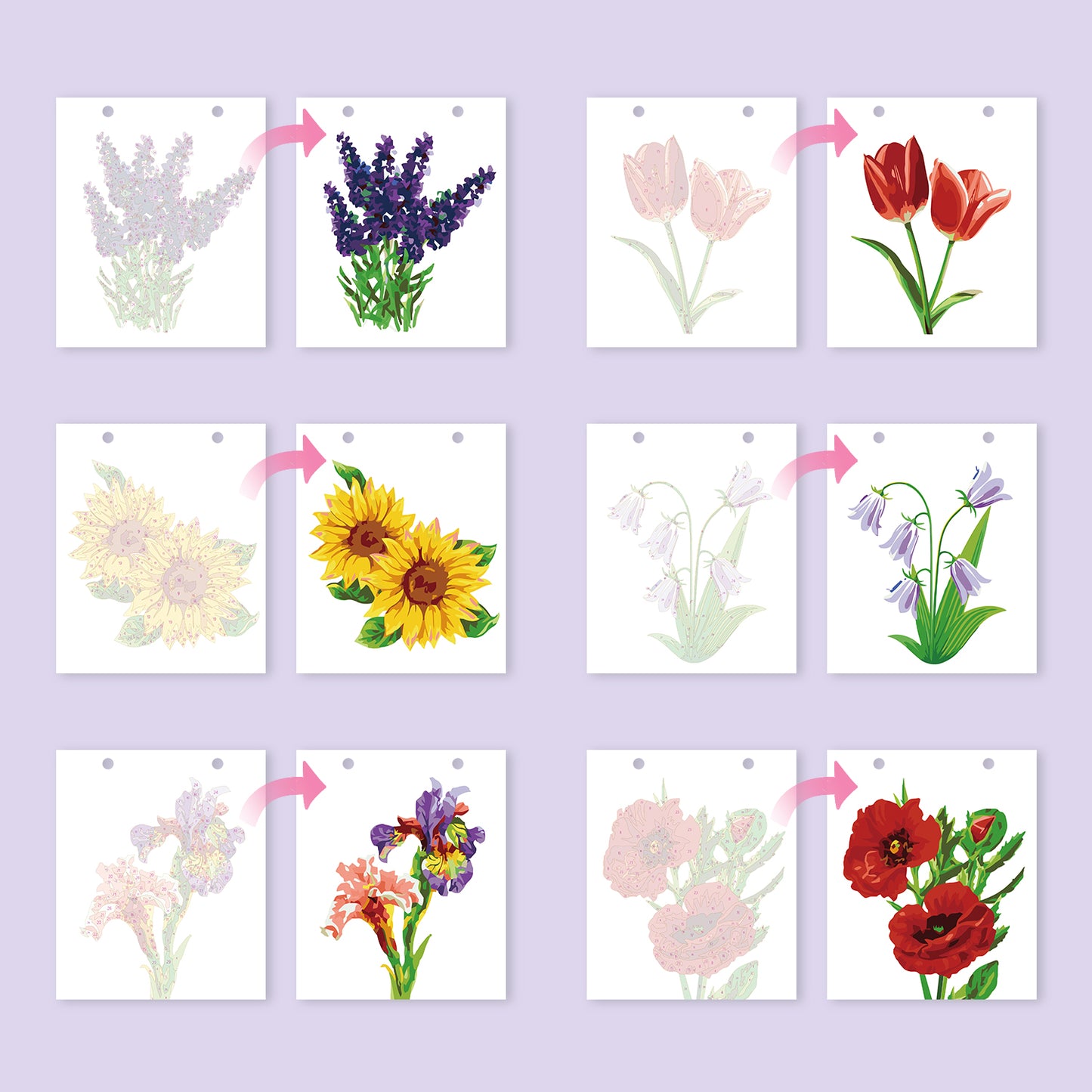 Blommor-2027 Måla efter siffror-kalender
