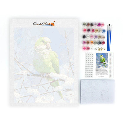 Papegojan - Måla efter siffror